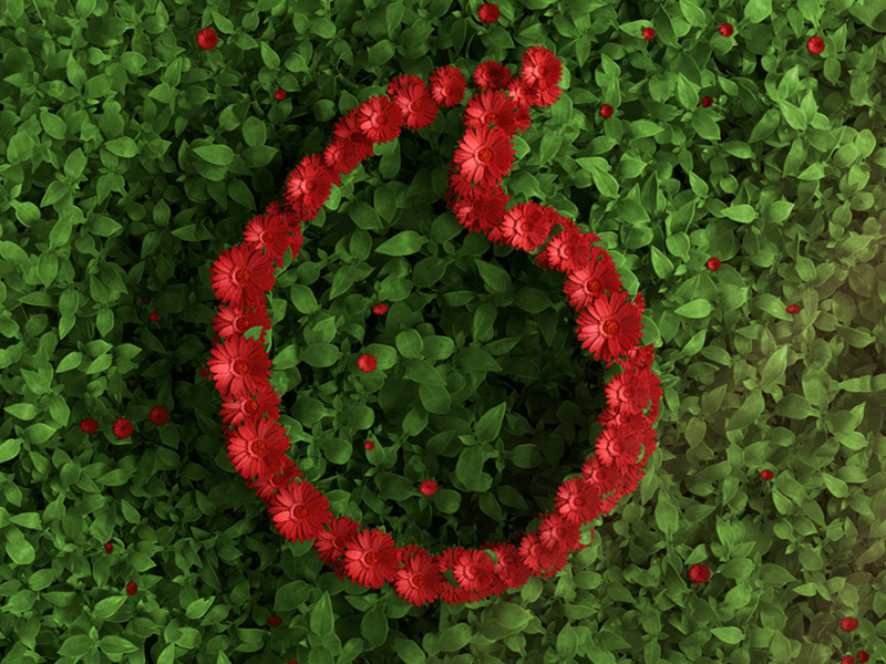 An image of flowers arrange as the Vodacom logo