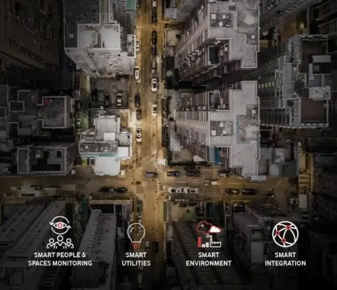 Digitizing Government: