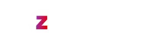 Zetnet