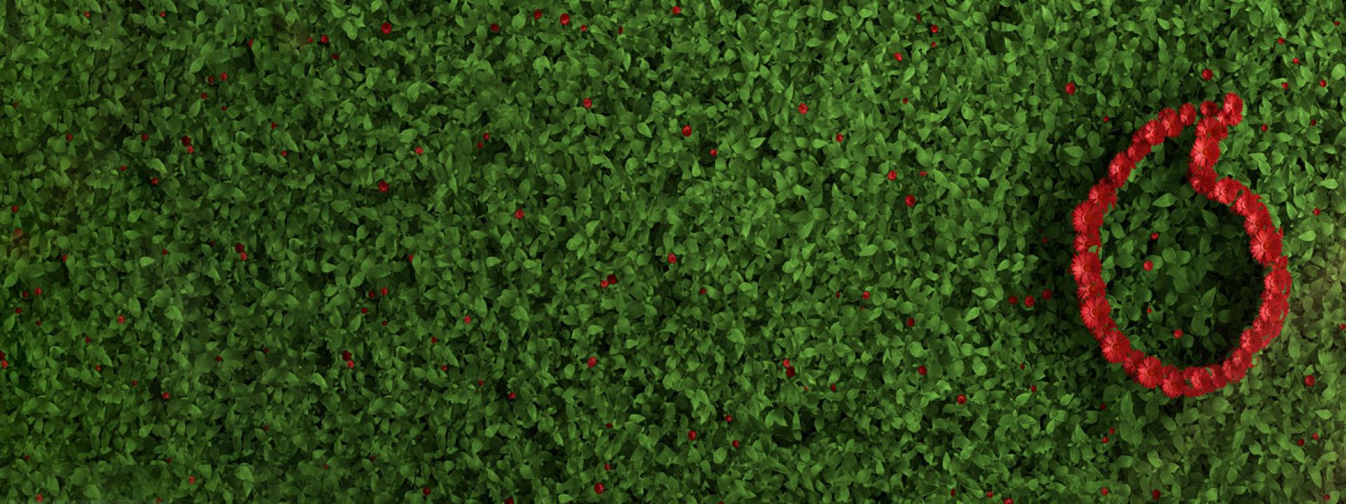 node-Eco Rating--banner-image-img