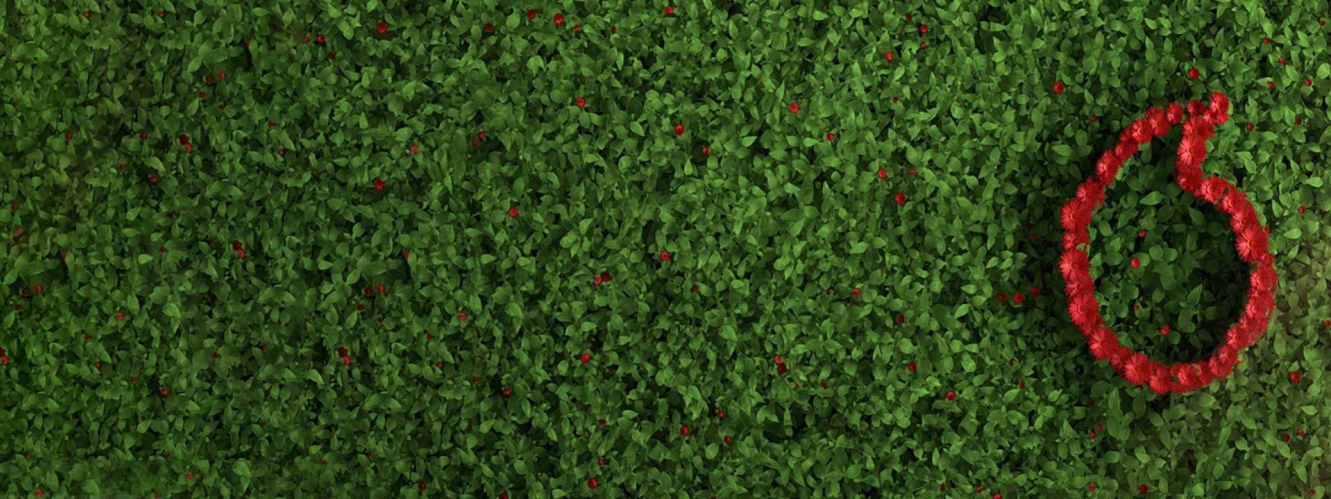 node-RedLovesGreen--banner-image-img