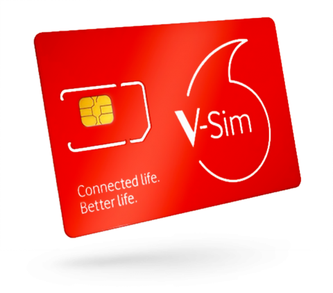 V-Sim