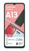 a13